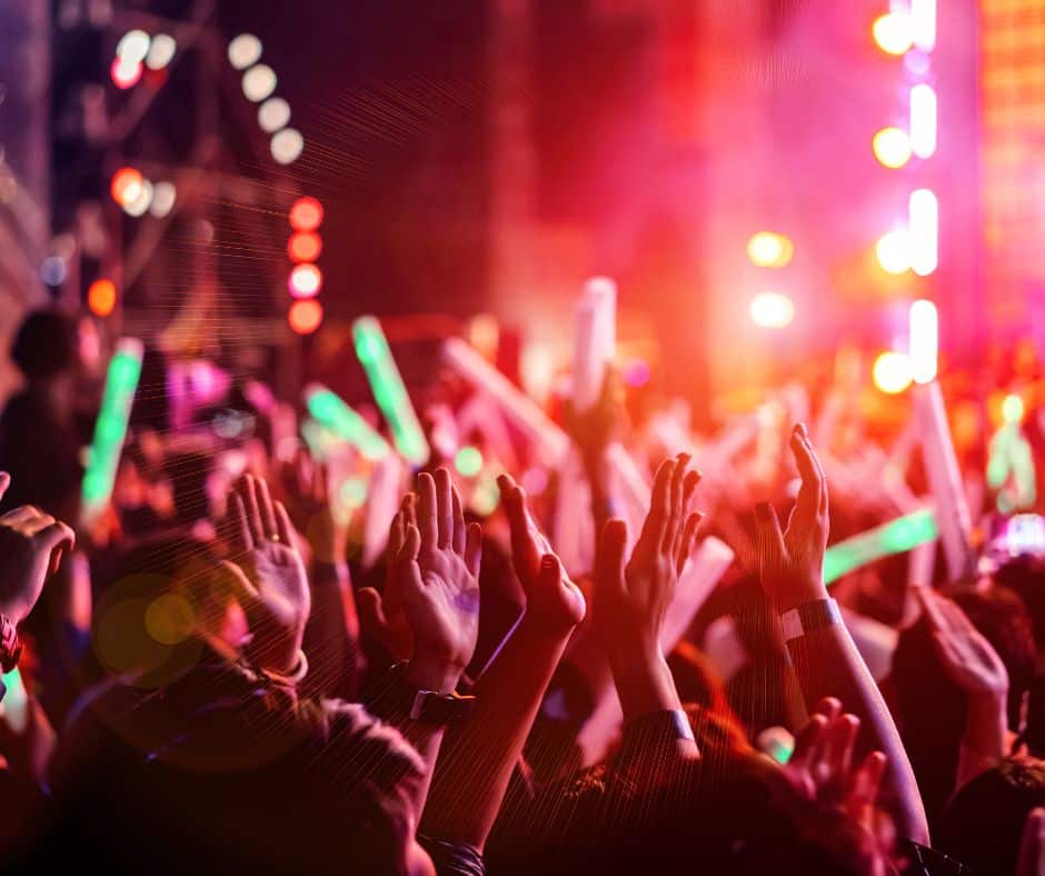 Security services for major events